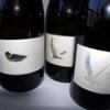 Fin Bec Wine Voice Overs